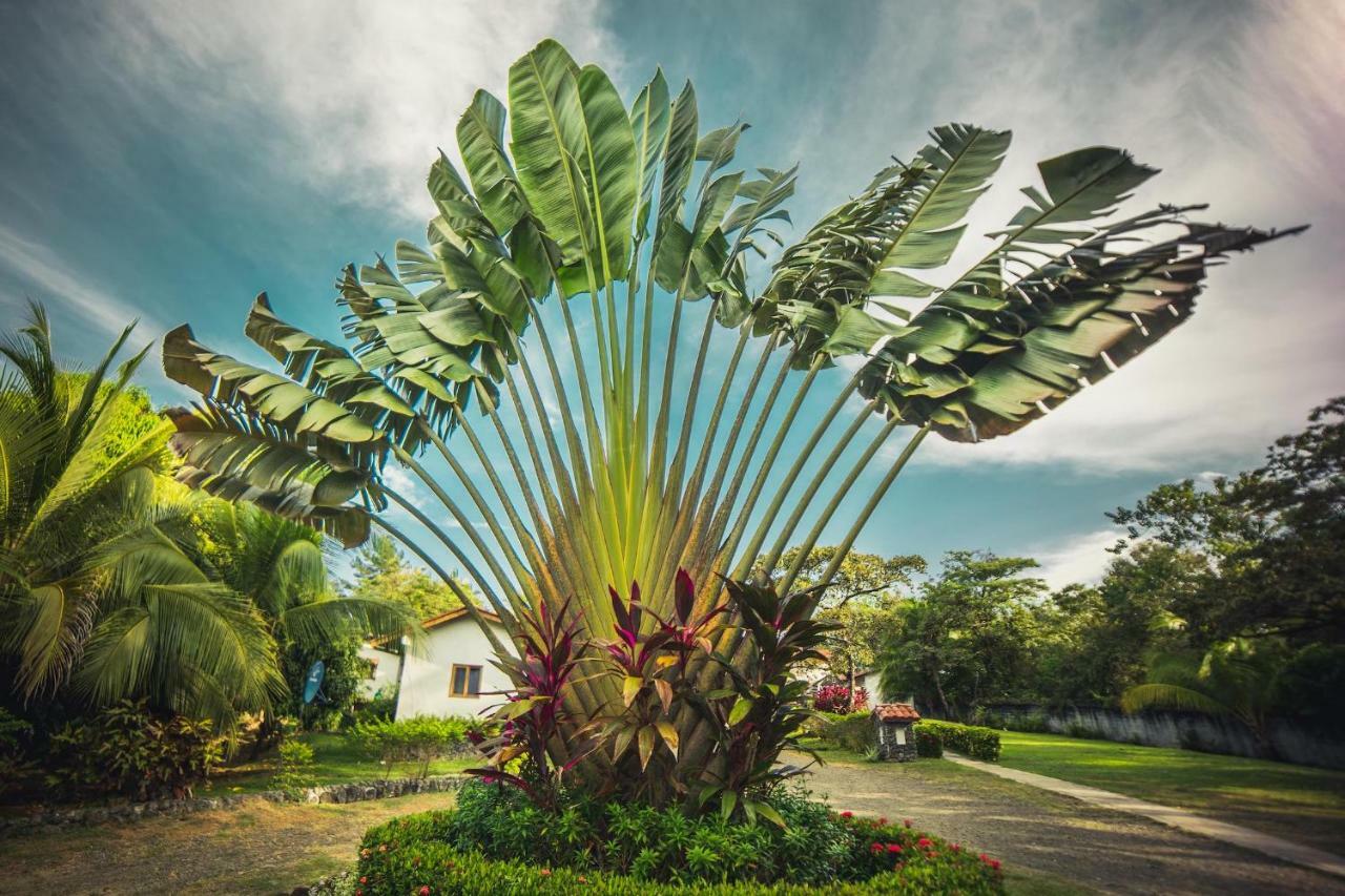 Hotel Santa Catalina Panama Eksteriør bilde